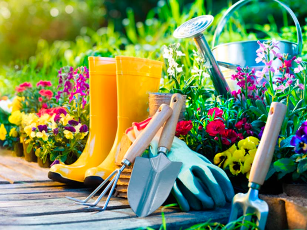 Gardening tools | Garden Growth Guide