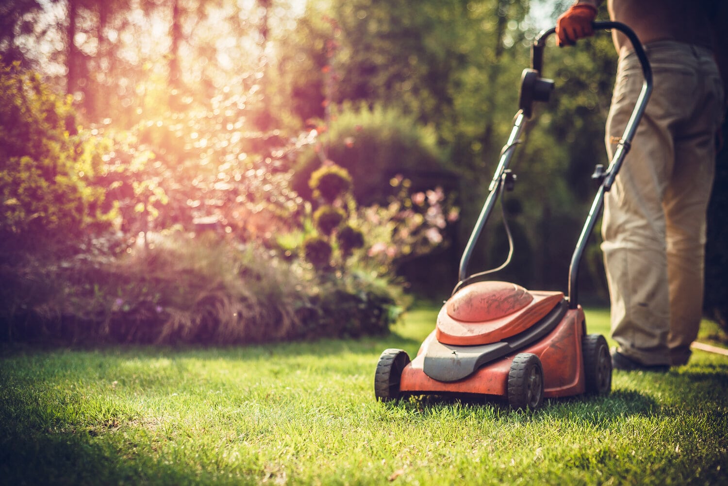 GARDEN CLEANING