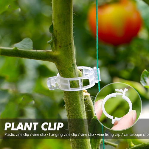 Garden Clips for Plant Support and Grafting.