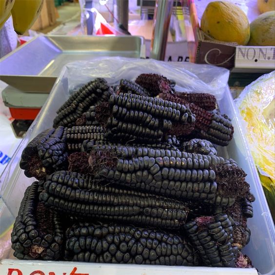 Corn Seeds (Organic) - Black Hopi.