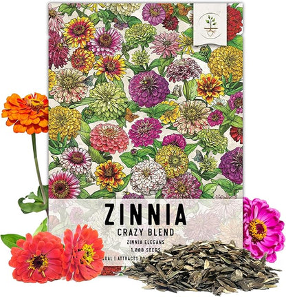 Zinnia Seeds