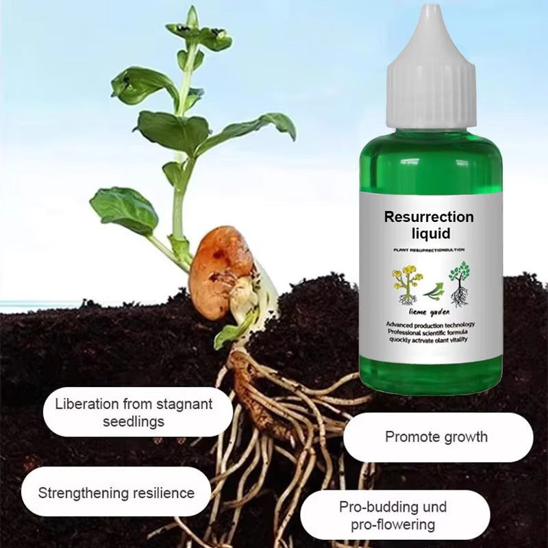 Plant Nutrient Solution • Gardenizi