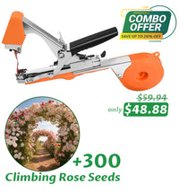 Random Color + 300 Climbing Rose Seeds