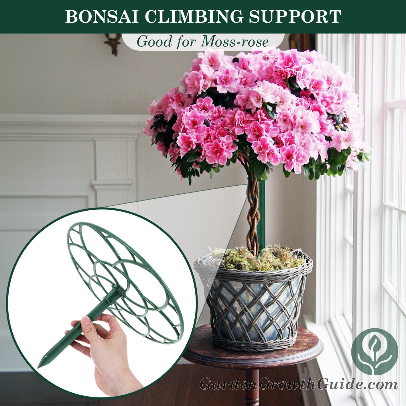 2Pcs Bonsai Climbing Support.